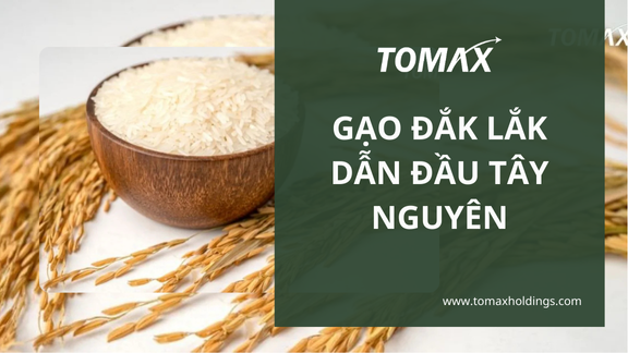 Gạo Đắk Lắk dẫn đầu Tây Nguyên