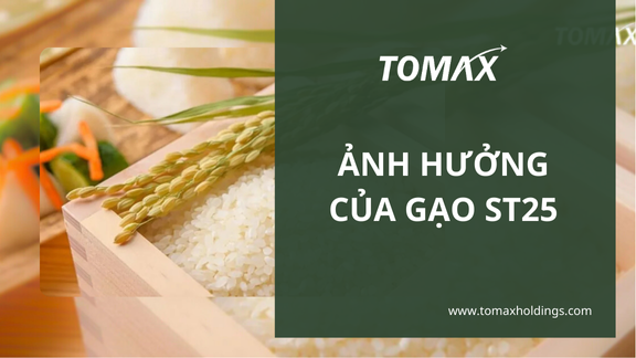 Ảnh hưởng của gạo ST25