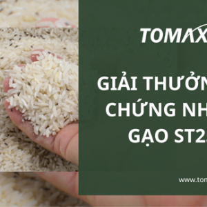 Chứng nhân gạo ST25