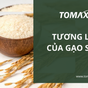 Tương lai của gạo ST25