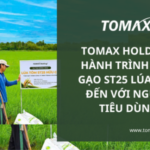 hanh trinh dua gao lua tom st25 toi nguoi tieu dung