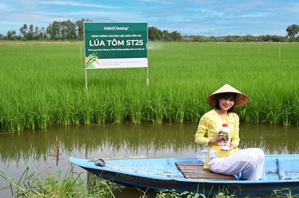 Gạo ST25 lúa tôm hữu cơ