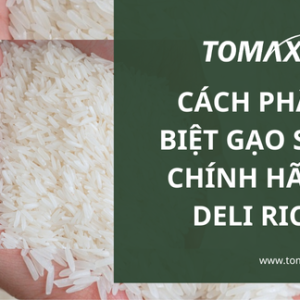 cach phan biet gao st25 chinh hang deli rice
