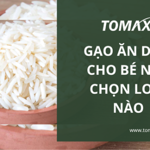 gao an dam cho be nen chon loai nao