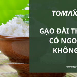 gao dai thom co ngon khong