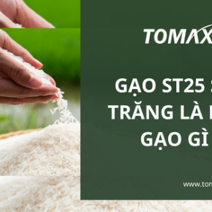 gao st25 la loai gao gi