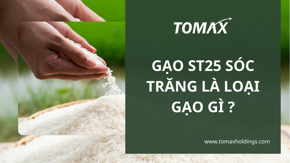 gao-st25-la-loai-gao-gi