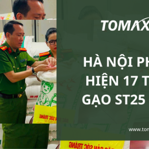ha noi phat hien 17 tan gao st25 gia
