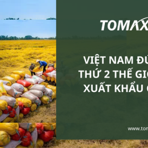 viet nam dung thu 2 the gioi ve xuat khau gao