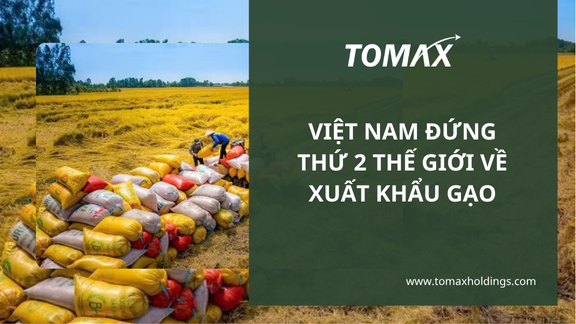 viet-nam-dung-thu-2-the-gioi-ve-xuat-khau-gao