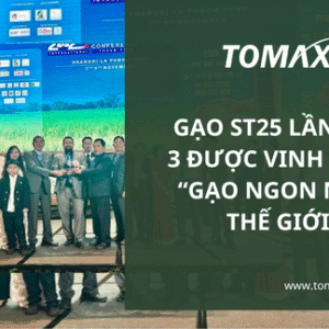 gao st25 lan thu 3 ngon nhat the gioi