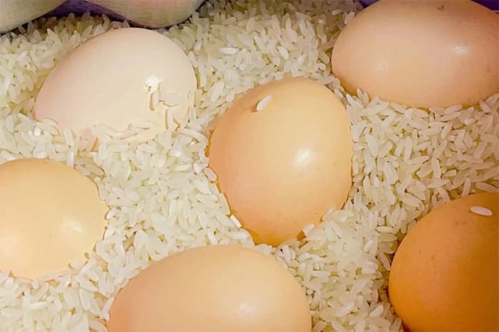 10 mẹo vặt hay từ gạo – Ứng dụng trong cuộc sống với gạo Deli Rice của TOMAX Holding 3 10-meo-vat-tu-gao-3