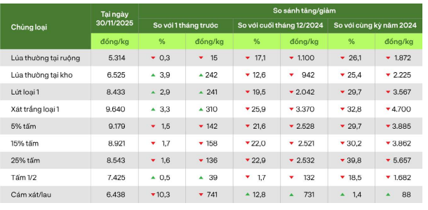 Toàn cảnh thị trường lúa gạo Việt Nam năm 2025: Một năm điều chỉnh, phân hóa và tái định vị giá trị 5 thi-truong-lua-gao-2