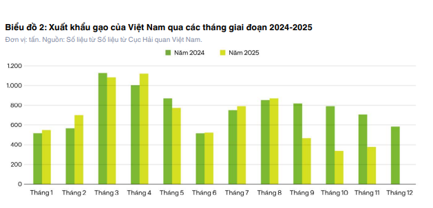 Toàn cảnh thị trường lúa gạo Việt Nam năm 2025: Một năm điều chỉnh, phân hóa và tái định vị giá trị 4 thi-truong-lua-gao-5