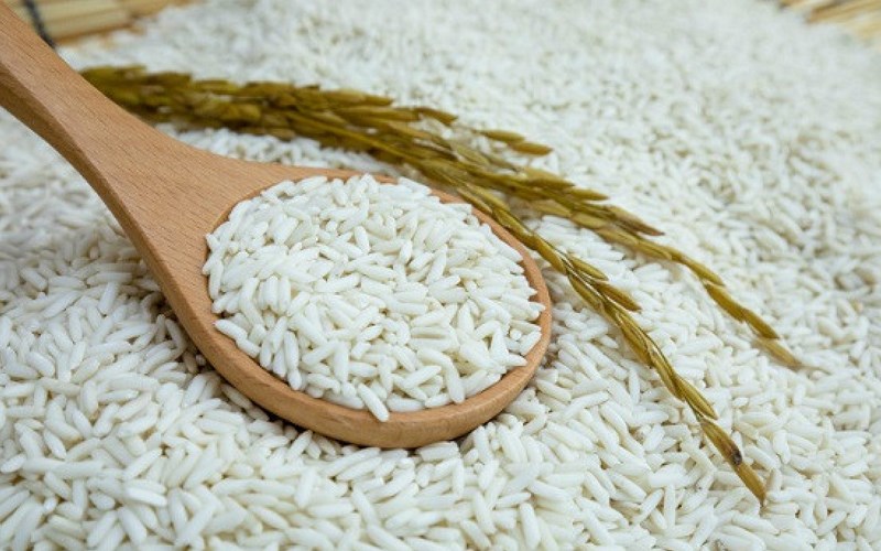 tinh-chat-cua-cac-loai-gao-2