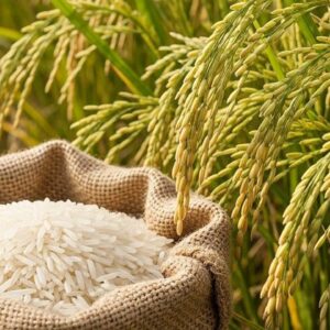 xu-huong-qua-tet-2026-2