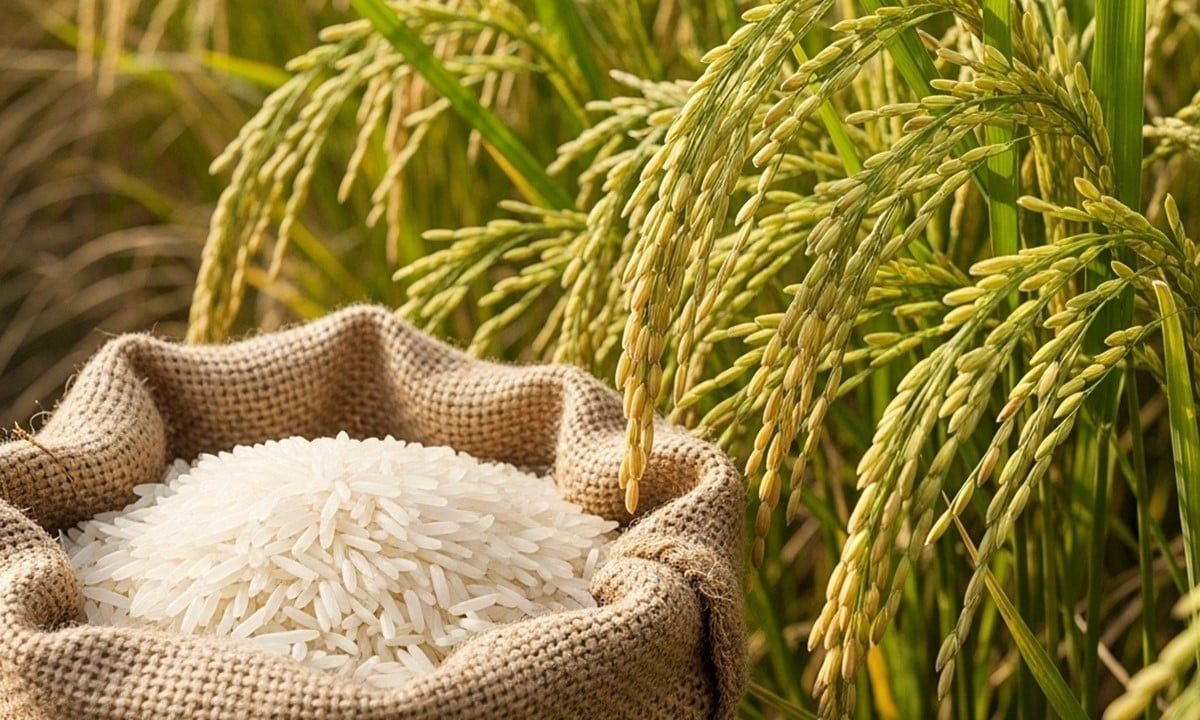 xu-huong-qua-tet-2026-2