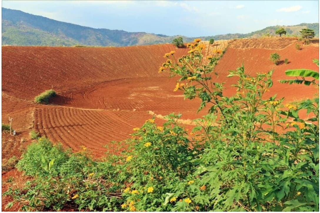 danh thuc dat trong 1