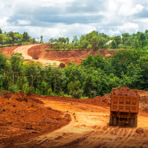 danh thuc dat trong 4 1